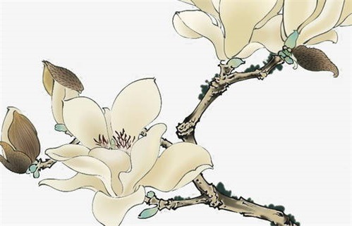 2025年09月20日动土日子如何 今日动土修造好吗