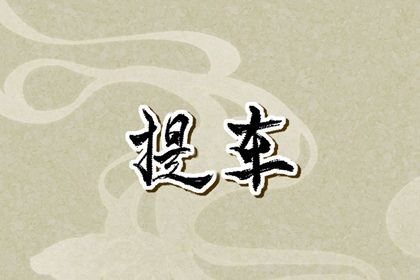 2025年11月03日是提车好日子吗 提车买车吉利吗