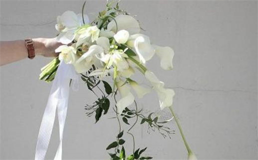 2025年农历十月十一是结婚好日子吗 宜办喜事吉日查询 2025年农历十月十一是结婚好日子吗 宜办喜事吉日查询