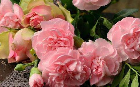 2025年12月07日结婚好不好 宜办喜事吉日查询