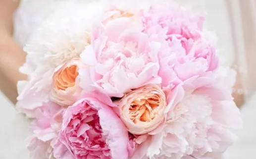 2025年12月22日领证吉日查询 宜领证吉日查询